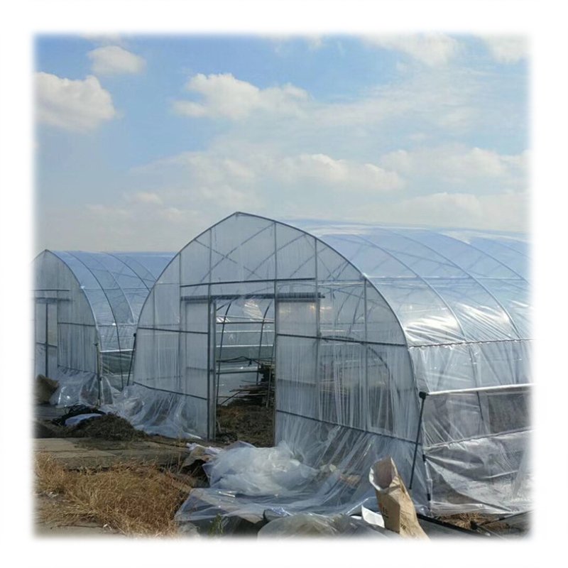 Large Size Low Cost High Tunnel Agricultural Greenhouse for tomato growing vegetable green farm house
