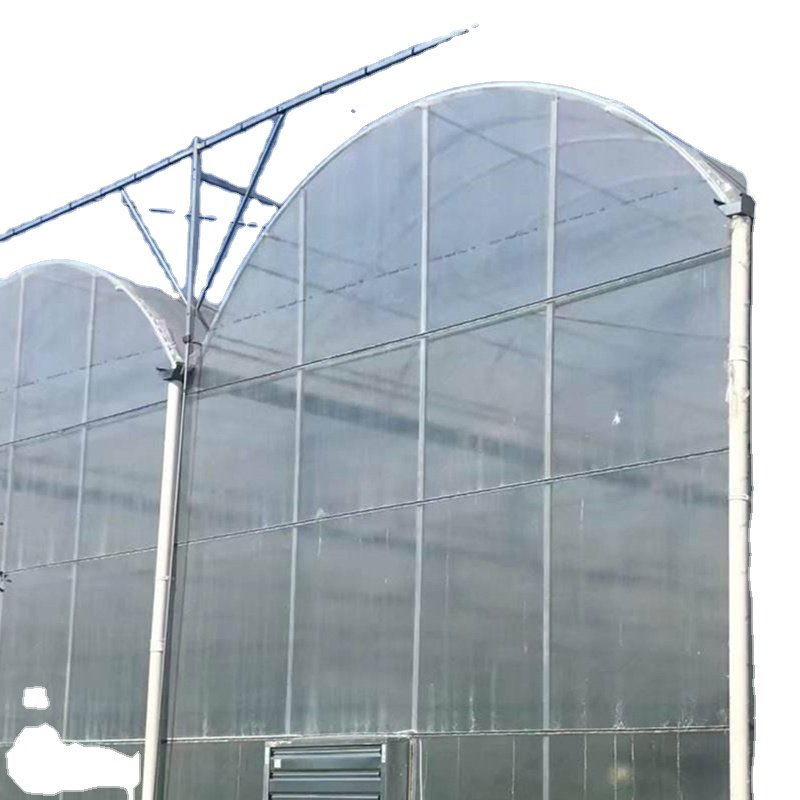 Home garden green house agricultural greenhouse manufacturing back yard greenhouse Flower greenhouse