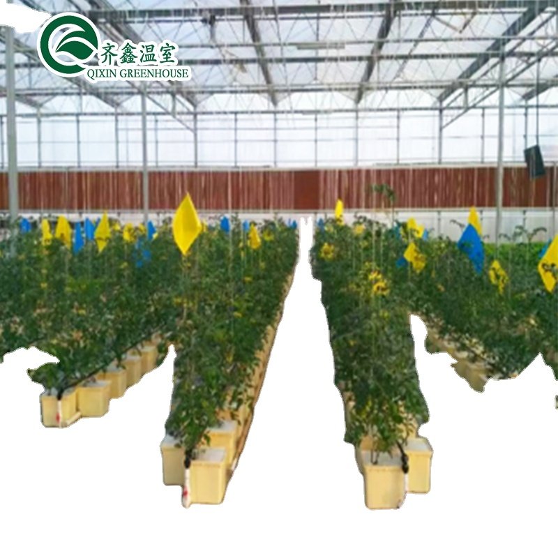 Low cost agricultural greenhouse for sale/tower garden/aduaponics