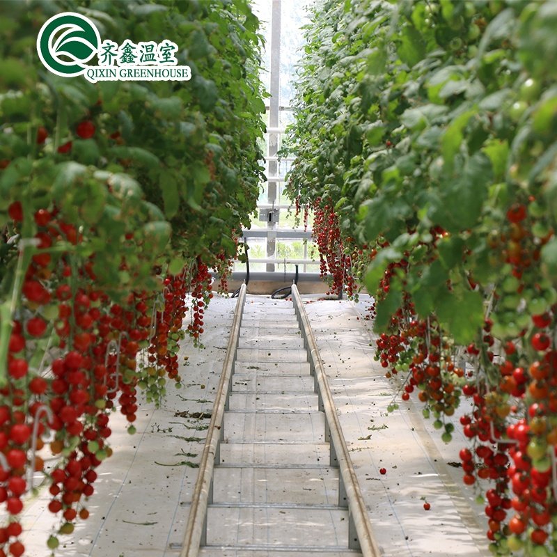 Low cost agricultural greenhouse for sale/tower garden/aduaponics