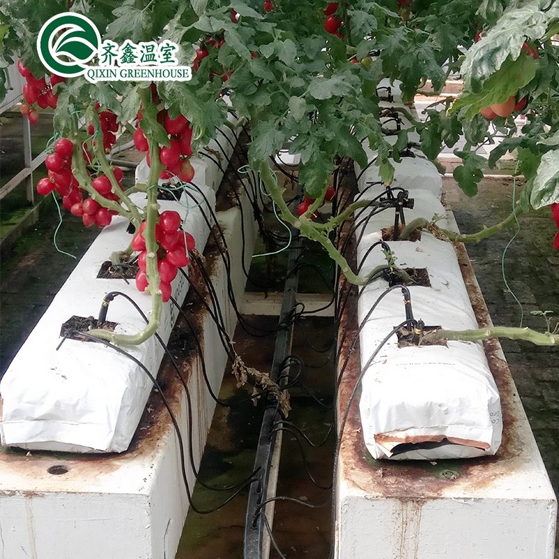 Low cost agricultural greenhouse for sale/tower garden/aduaponics