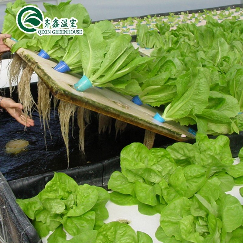 Low cost agricultural greenhouse for sale/tower garden/aduaponics