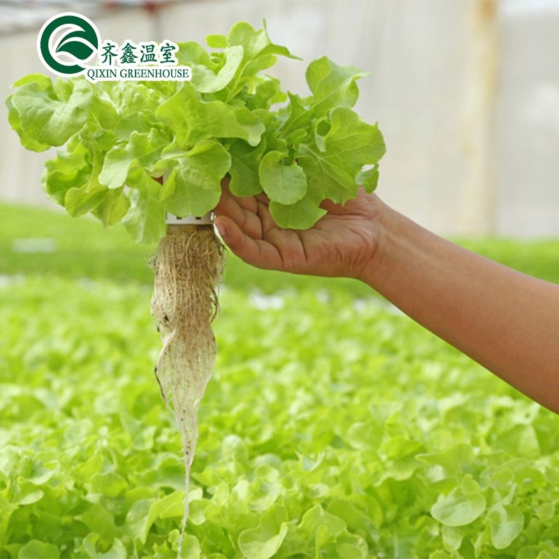 Low cost agricultural greenhouse for sale/tower garden/aduaponics