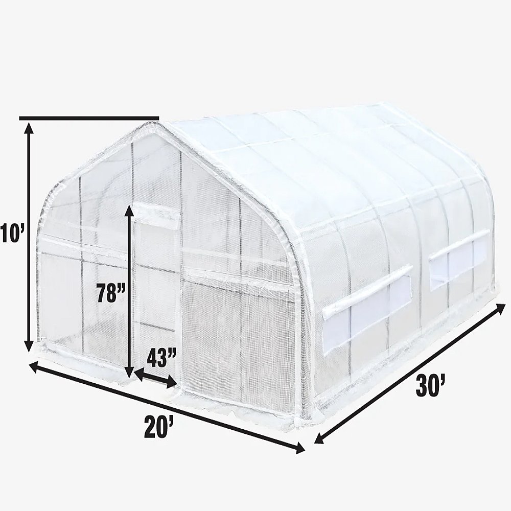 Commercial Agriculture Greenhouse Double Layer PE Film Galvanised Metal Frame Large Single Span Commercial Usage Plant Friendly