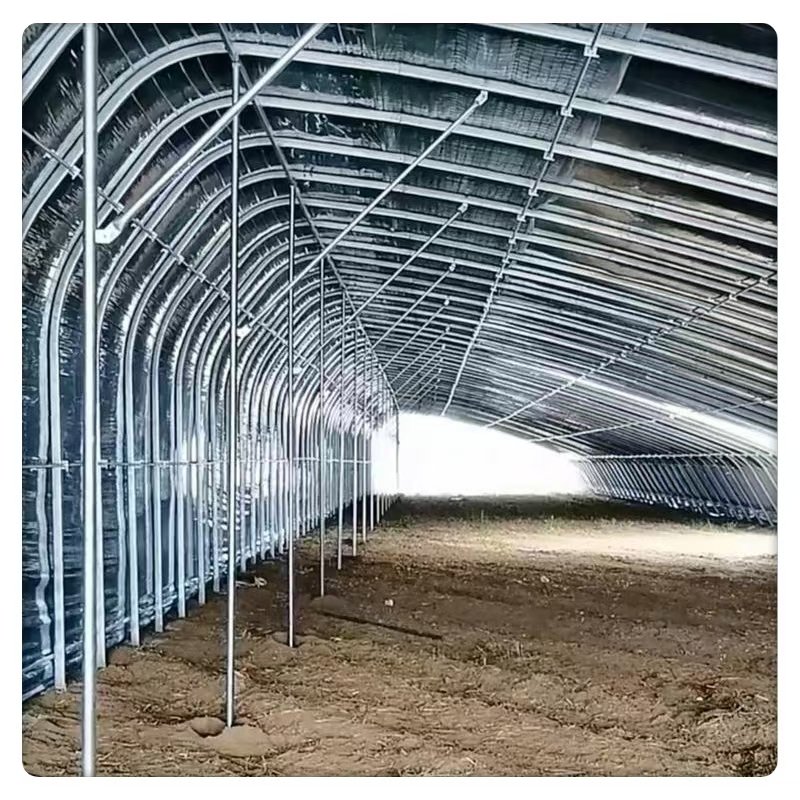 Hot Selling Large Agricultural Greenhouses Vegetables Fruits Single Layer Hydroponic Sunlight Greenhouses Square Green Color
