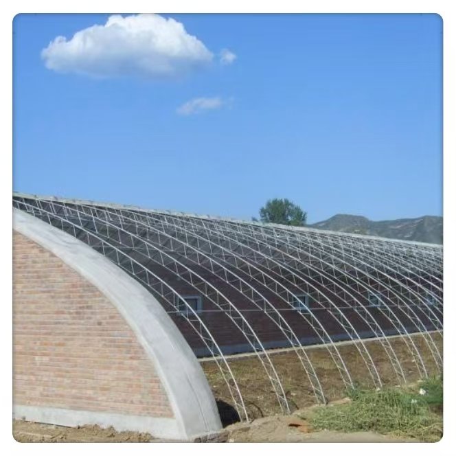 Hot Selling Large Agricultural Greenhouses Vegetables Fruits Single Layer Hydroponic Sunlight Greenhouses Square Green Color