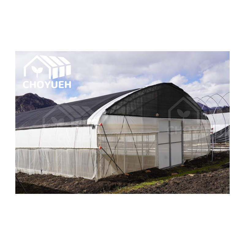 CHOYUEH low cost polytunnel film greenhouse for agricultural use tomato strawberries