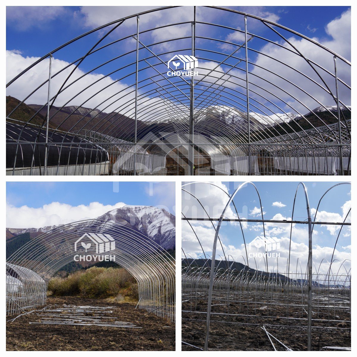 CHOYUEH low cost polytunnel film greenhouse for agricultural use tomato strawberries
