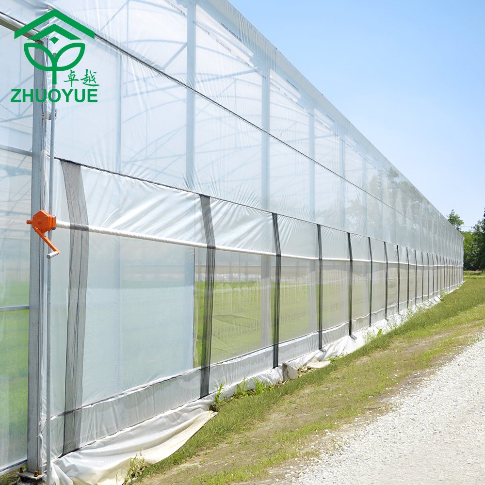 CHOYUEH low cost polytunnel film greenhouse for agricultural use tomato strawberries