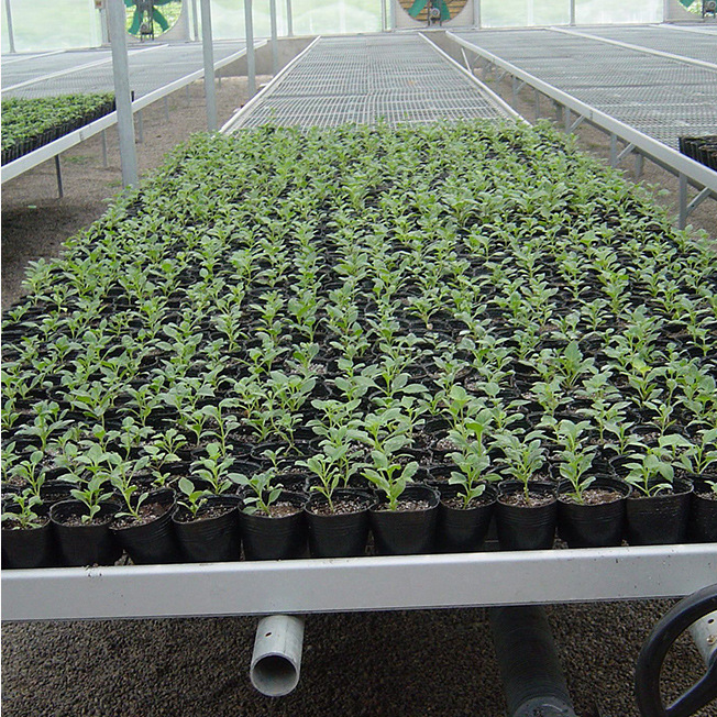 Film Greenhouse Flood Table Grow Rack Ebb And Flow Rolling Bench Vertical Grow Rack System