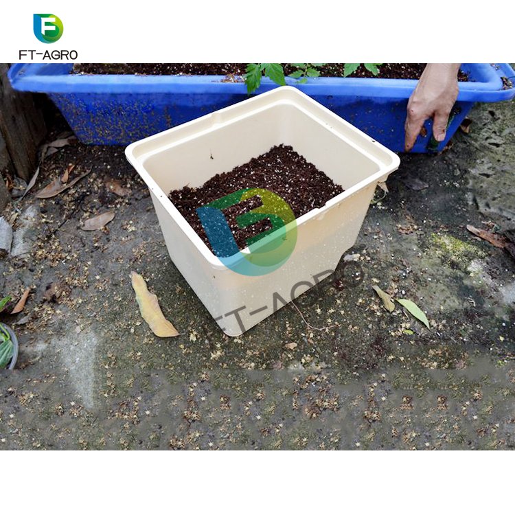 Dutch Bucket in agriculture greenhouse for vegetables on sale