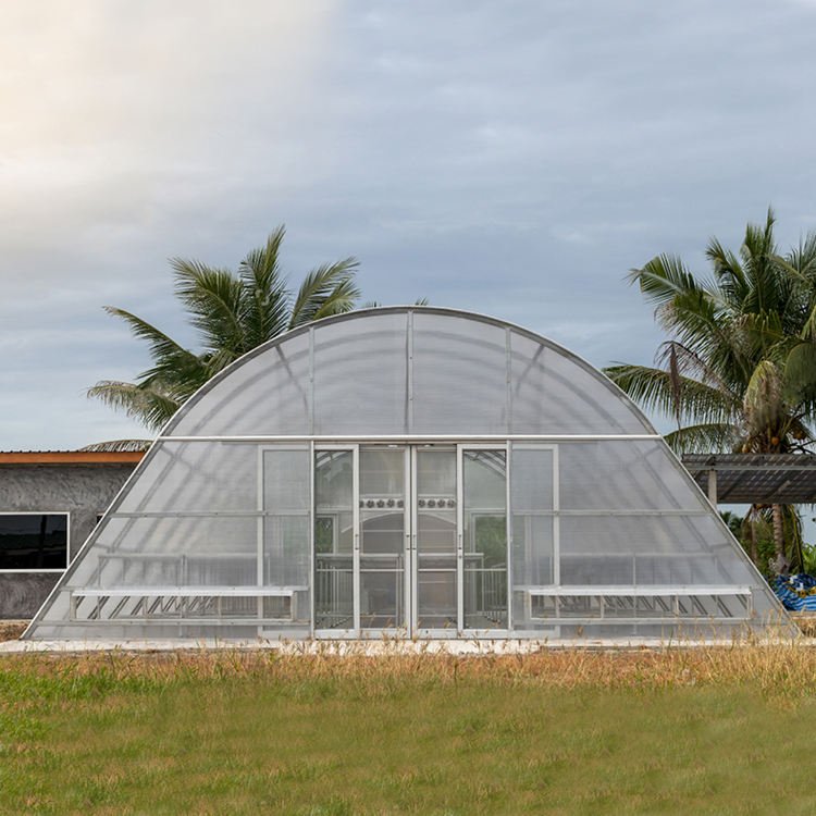 Durable Agricultural Single Span Galvanized Steel Frame Greenhouse 6mm Hollow Polycarbonate Green House