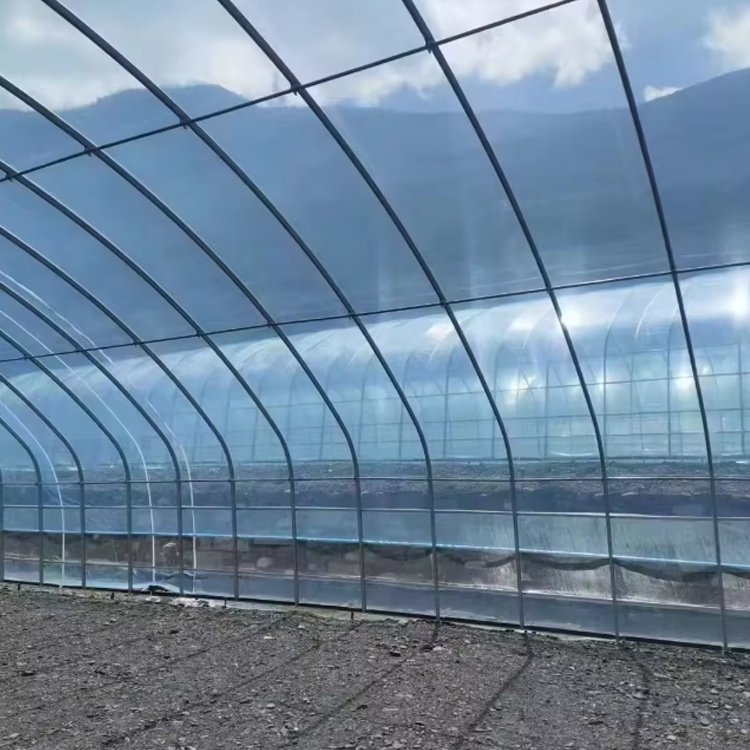 turnkey project with quick construction agricultural greenhouses equipment prefab tunnel strawberry greenhouses kit