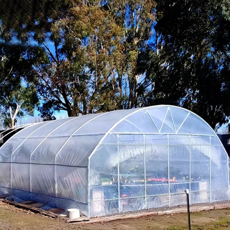 turnkey project with quick construction agricultural greenhouses equipment prefab tunnel strawberry greenhouses kit