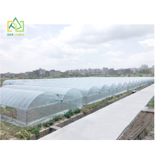 Professional Manufacturers Multi-span Green House Structure for Agricultural Greenhouse
