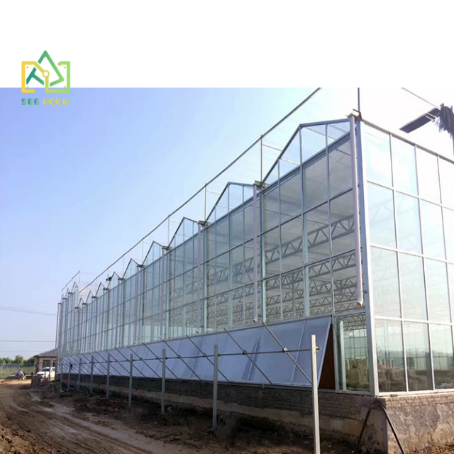 Professional Manufacturers Multi-span Green House Structure for Agricultural Greenhouse