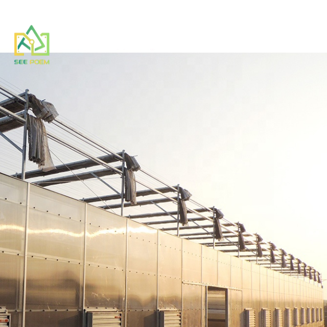 Professional Manufacturers Multi-span Green House Structure for Agricultural Greenhouse
