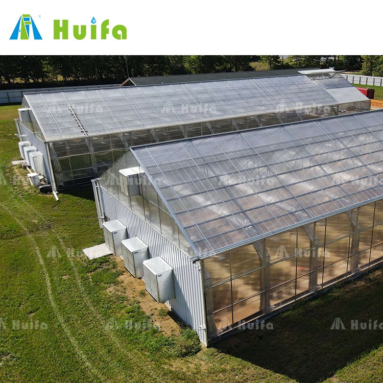 Plastic Sheet Growing Commercial Hemp Greenhouse Plants Aluminium Frame Heavy Duty Greenhouse With Heater System