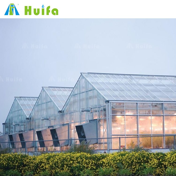 Plastic Sheet Growing Commercial Hemp Greenhouse Plants Aluminium Frame Heavy Duty Greenhouse With Heater System