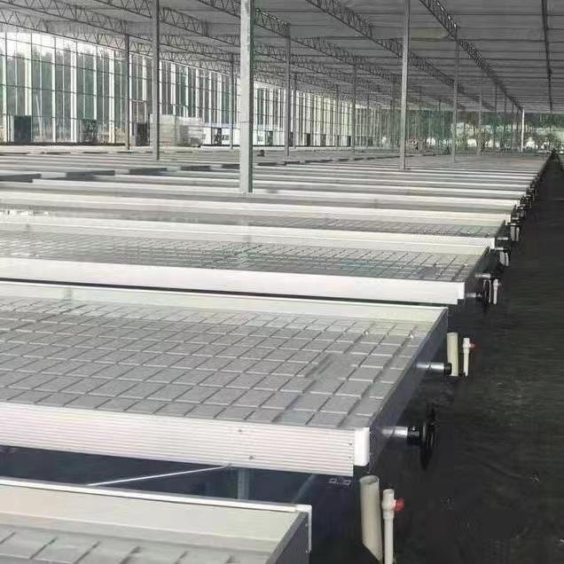 Commercial Movable Rolling Bench System Greenhouse Seedbed Nursery Bed Ebb Flow Tray Hydroponics Flood Table Garden Plastic
