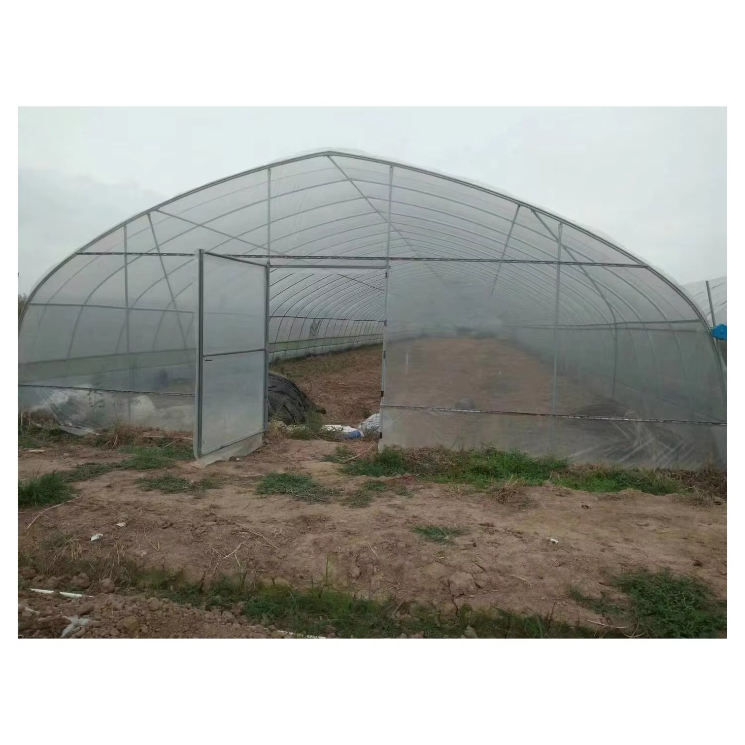 Best Selling Single Span Greenhouse Plastic Shed Tunnel Greenhouse Growing Hydroponic Tomatoes Hot Dipped Galvanized Steel Frame