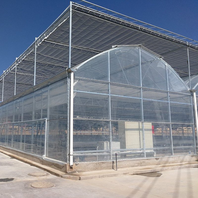 China Agriculture greenhouses multi span plastic film green house with tomato hydroponic system