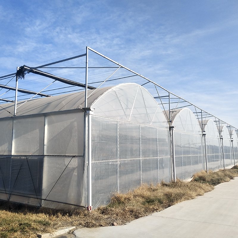 China Agriculture greenhouses multi span plastic film green house with tomato hydroponic system