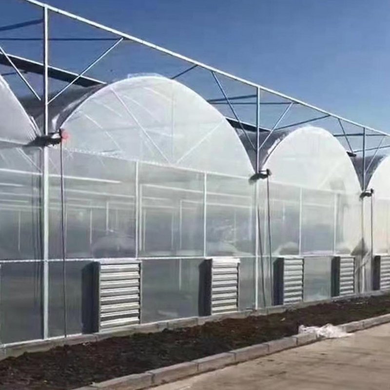 China Agriculture greenhouses multi span plastic film green house with tomato hydroponic system