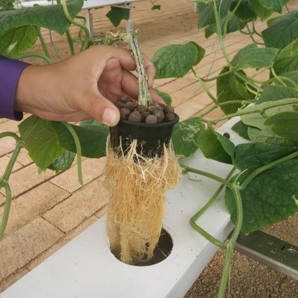 Greenhouse Commercial Plant China Suppliers Agricultural Hydroponic Square Pipe Nft Channel System