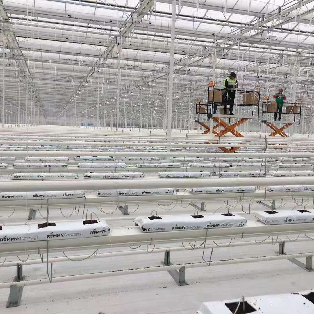 Hydroponic System Agricultural Greenhouse Vegetables Low Cost