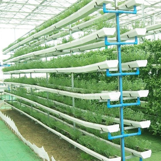 Hydroponic System Agricultural Greenhouse Vegetables Low Cost