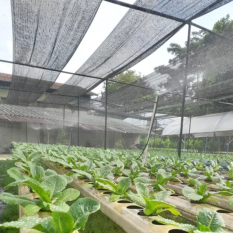 wholesale hdpe greenhouse agriculture malla sombra rashel shade net builders warehouse for balcony