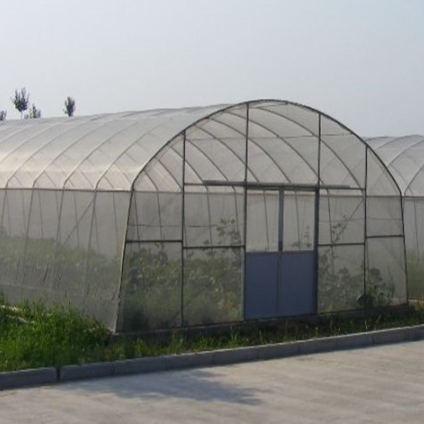 CHOYUEH Low cost Polytunnel film greenhouse for growing strawberry