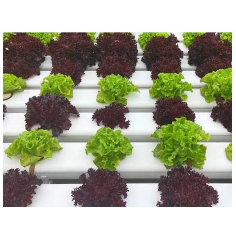 Hydroponic vegetable growing system pvc hydroponic tube for strawberry/lettuce hydroponic