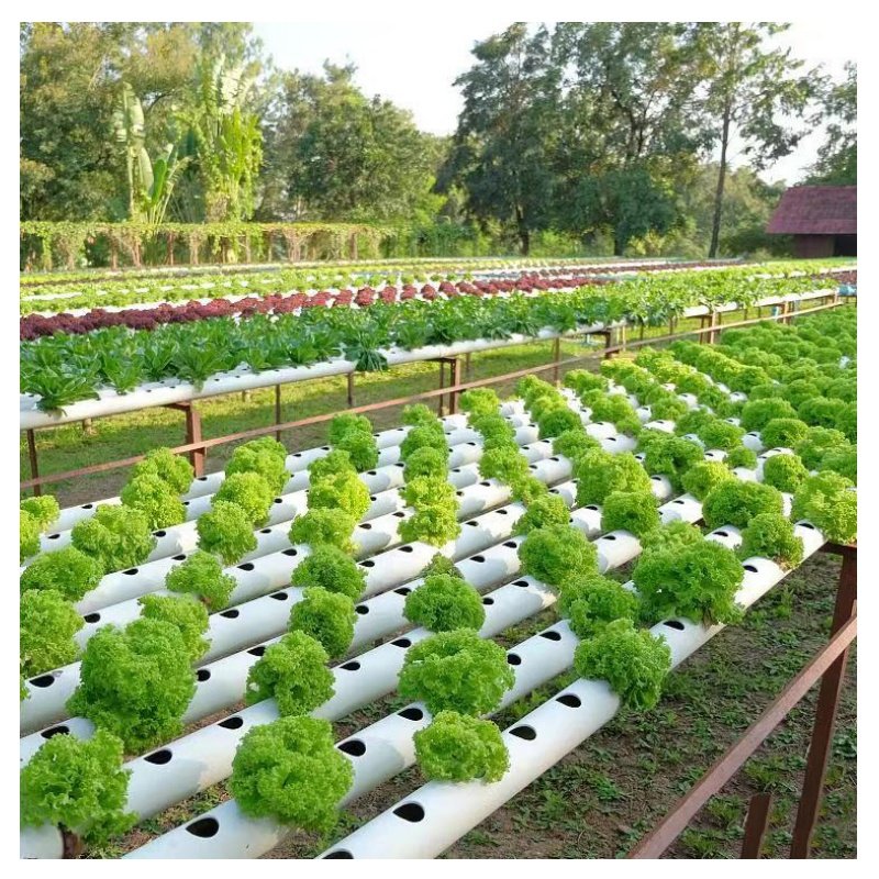 Hydroponic vegetable growing system pvc hydroponic tube for strawberry/lettuce hydroponic