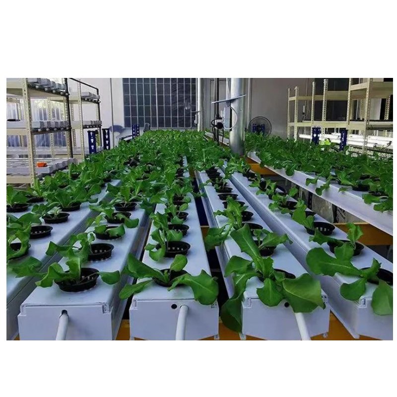 Hydroponic vegetable growing system pvc hydroponic tube for strawberry/lettuce hydroponic