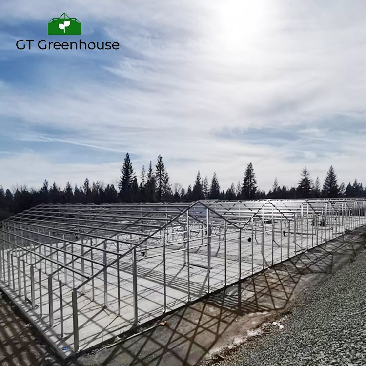 GT California project 100% blackout system medical plant polycarbonate blackout greenhouse