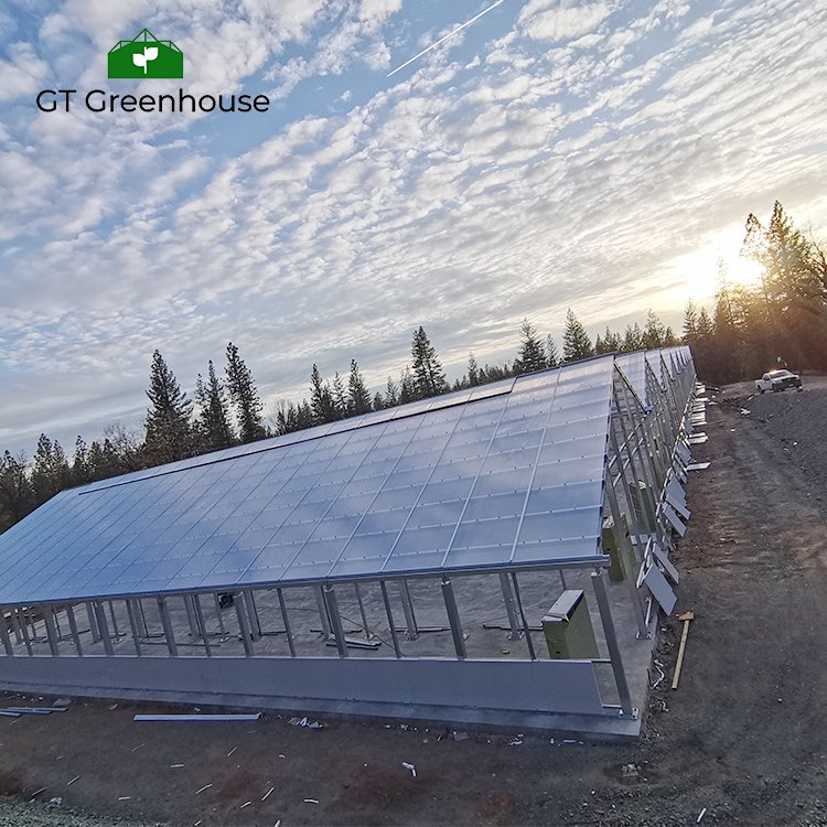 GT California project 100% blackout system medical plant polycarbonate blackout greenhouse