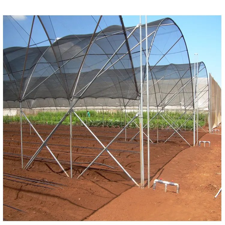 Multi-span High Customized Agricultural Greenhouse with Strong load-bearing hot-dip galvanized steel frame Blueberry Greenhouse