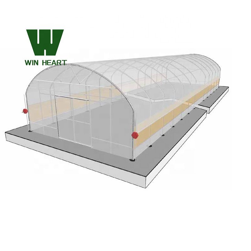 Agricultural Multi Span/Single Span film greenhouse Complete Set Greenhouse in China