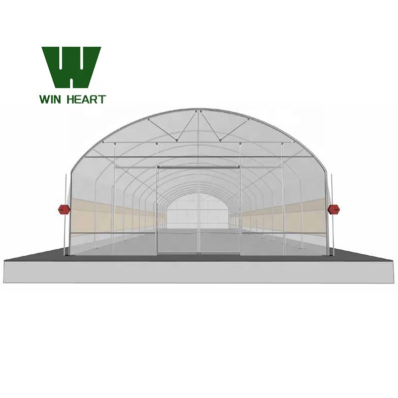 Agricultural Multi Span/Single Span film greenhouse Complete Set Greenhouse in China