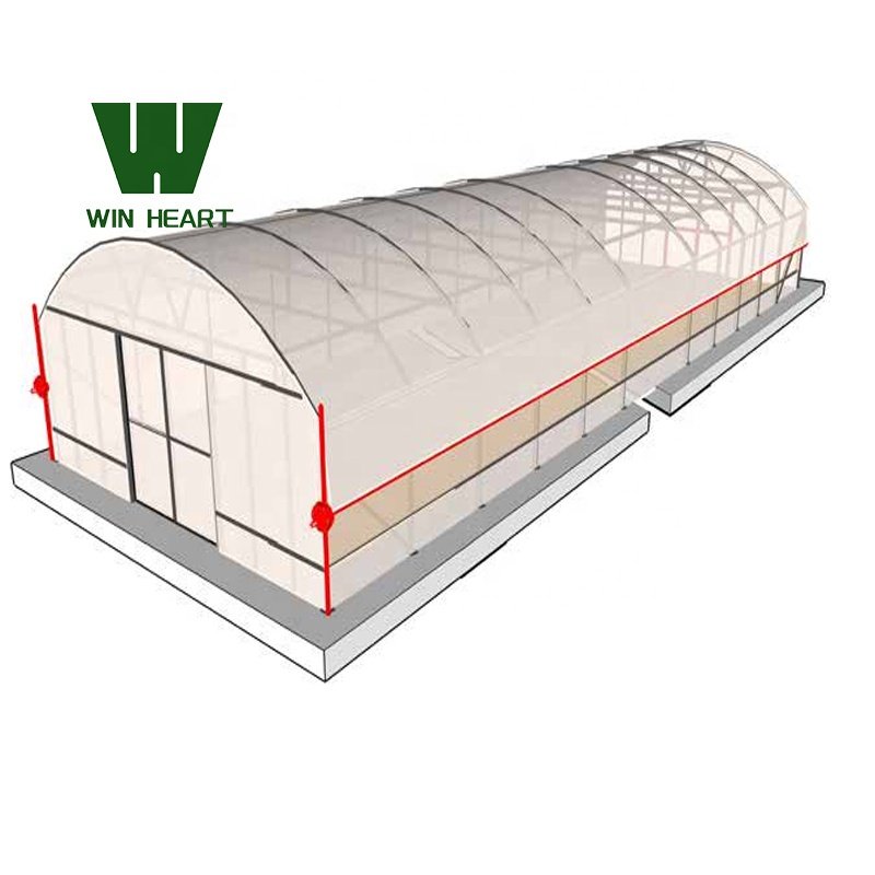 Agricultural Multi Span/Single Span film greenhouse Complete Set Greenhouse in China