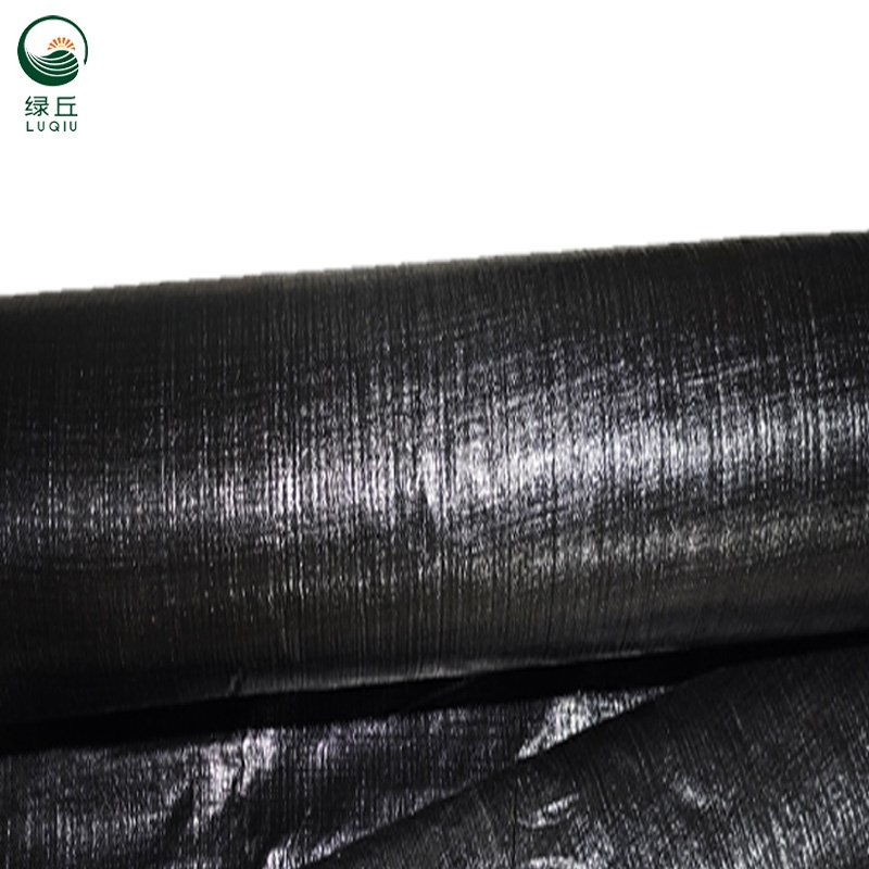 Factory direct PE weeding cloth Agricultural flower anti-grass cloth orchard greenhouses vegetable field anti-grass cloth