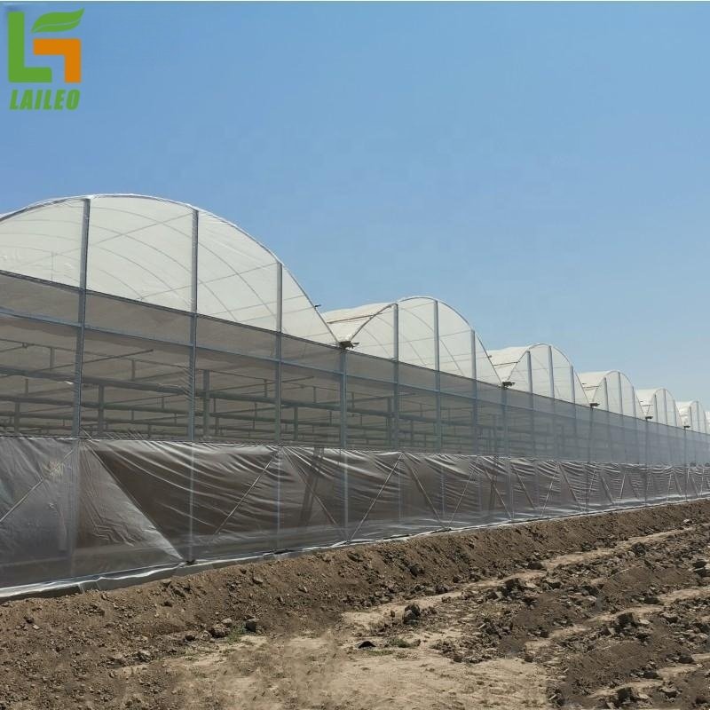 Large Plastic Film Greenhouse Multispan Agricultural Greenhouse