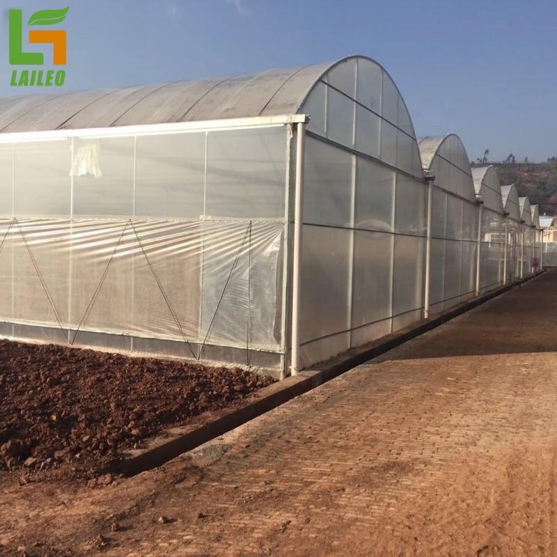 Large Plastic Film Greenhouse Multispan Agricultural Greenhouse
