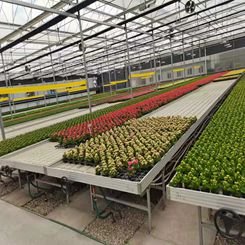 Hydroponic equipment rolling table growth ebb and flow down table agricultural greenhouse logistics seedbed bench