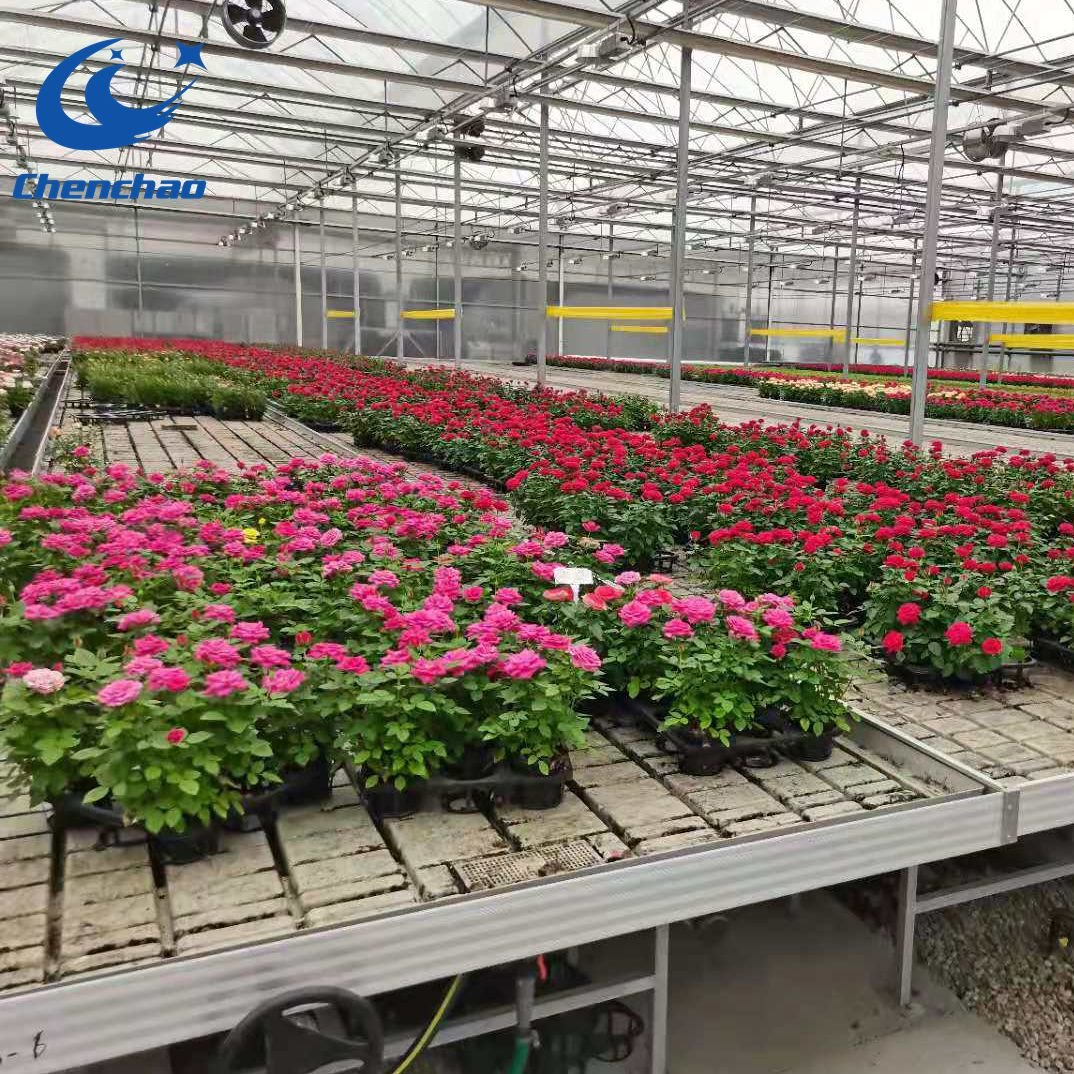 Hydroponic equipment rolling table growth ebb and flow down table agricultural greenhouse logistics seedbed bench