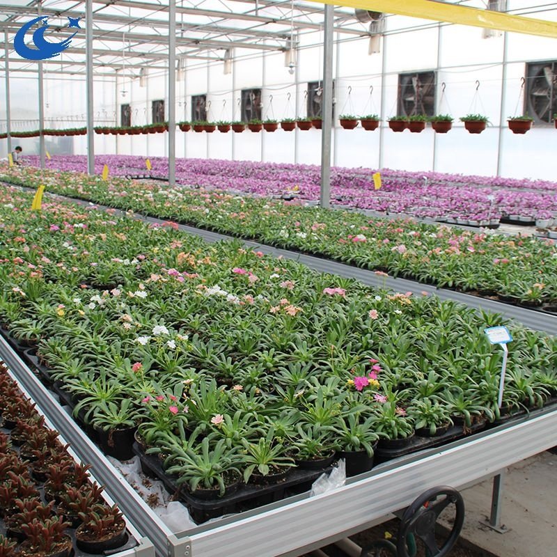 Hydroponic equipment rolling table growth ebb and flow down table agricultural greenhouse logistics seedbed bench