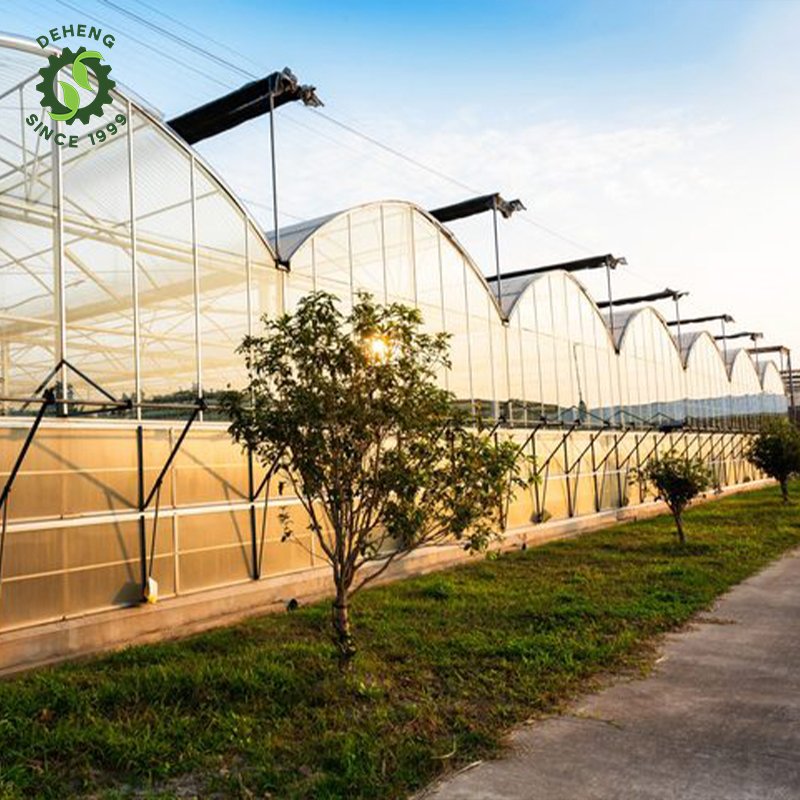 China Professional Manufacture Commercial Green Houses Plastic Film Greenhouse Agricultural For Outdoors