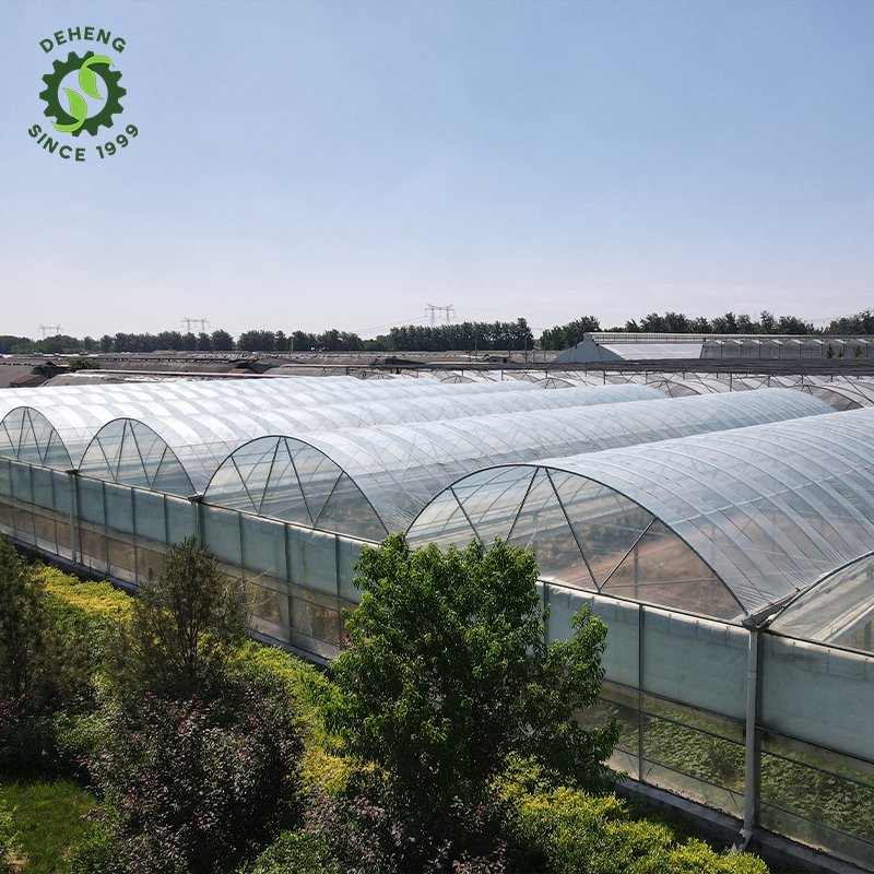 China Professional Manufacture Commercial Green Houses Plastic Film Greenhouse Agricultural For Outdoors